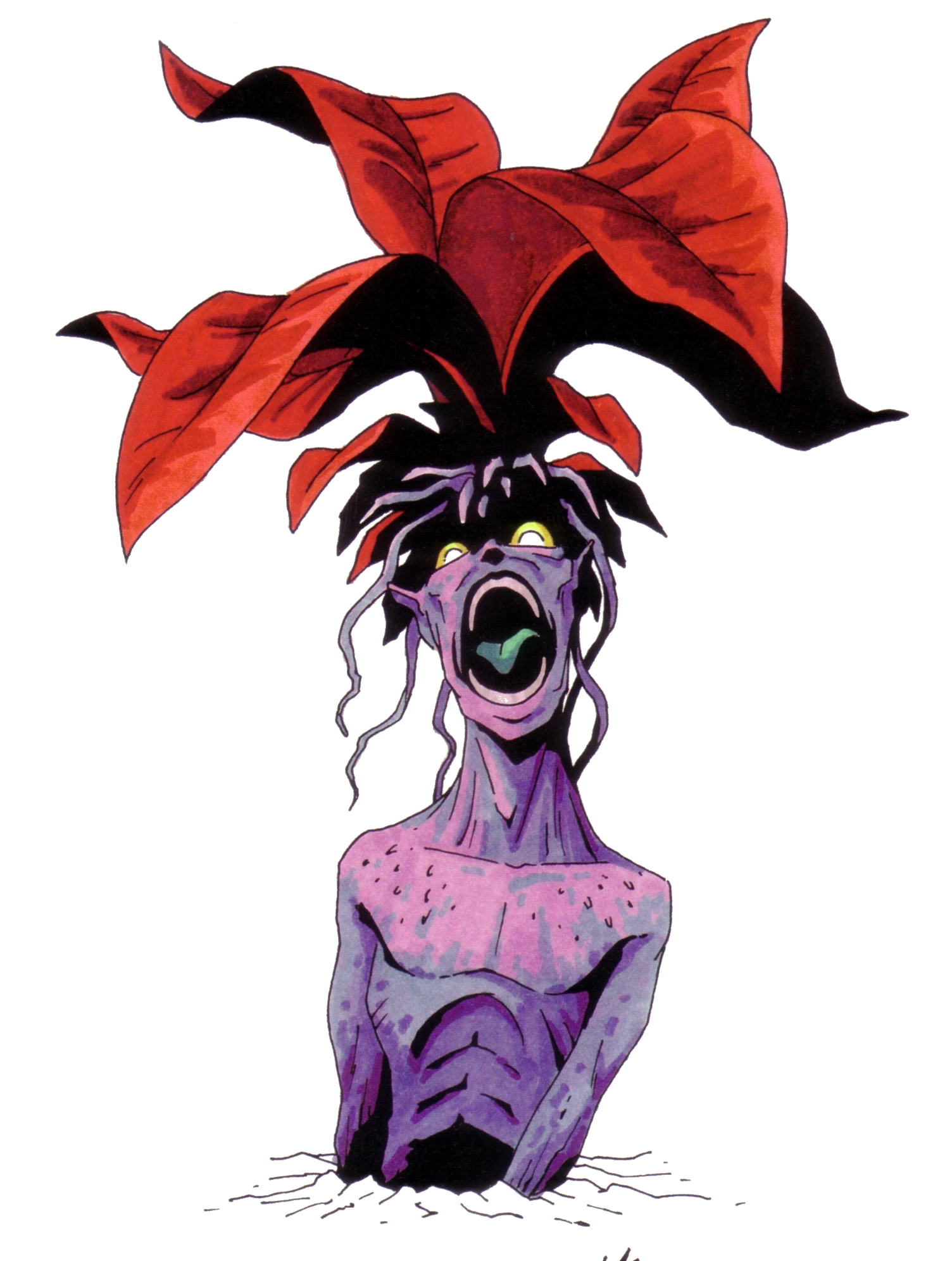 Mandrake